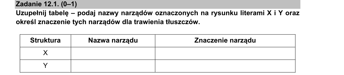 Rycina do zadania 12.1