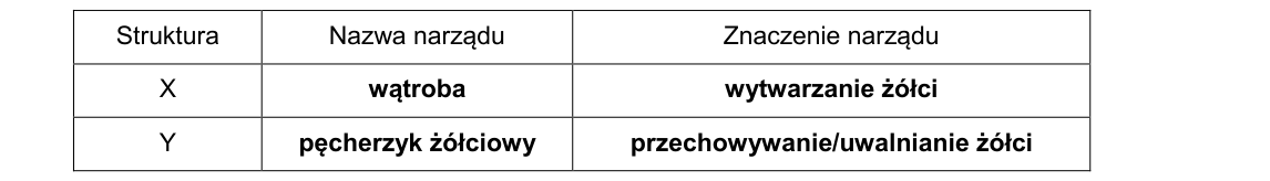Rycina do rozwiązania zadania 10.1