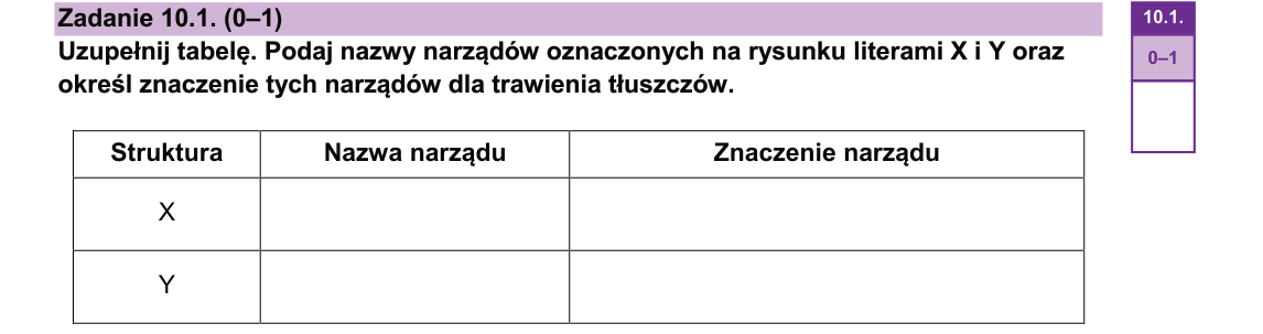 Rycina do zadania 10.1