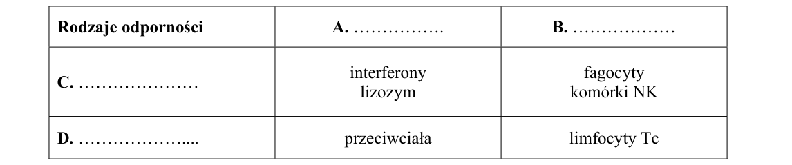 Rycina do zadania 10