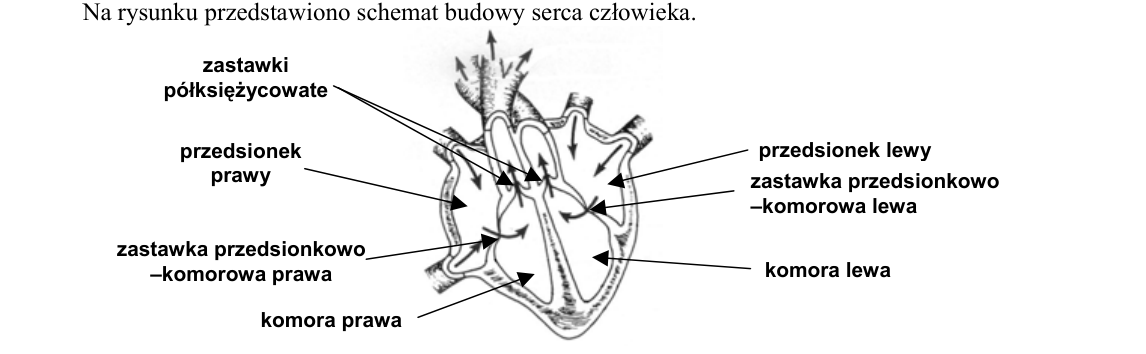 Rycina do zadania 17