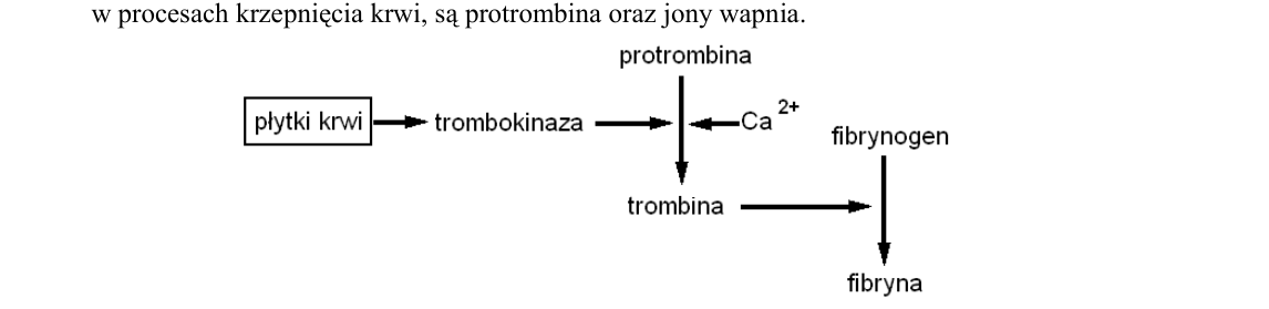 Rycina do zadania 20