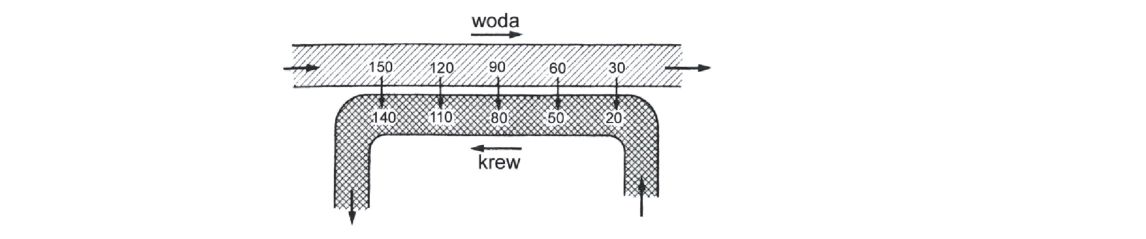 Rycina do zadania 11.2