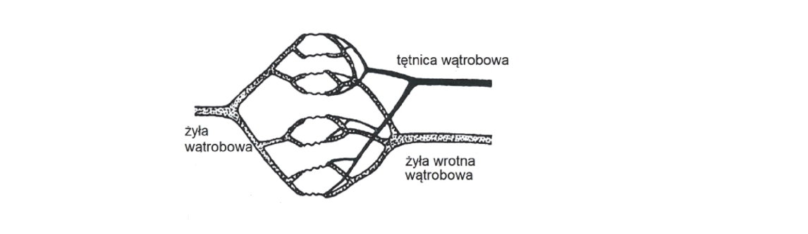 Rycina do zadania 15