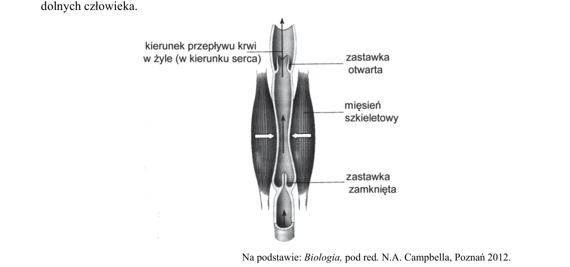 Rycina do zadania 16.2