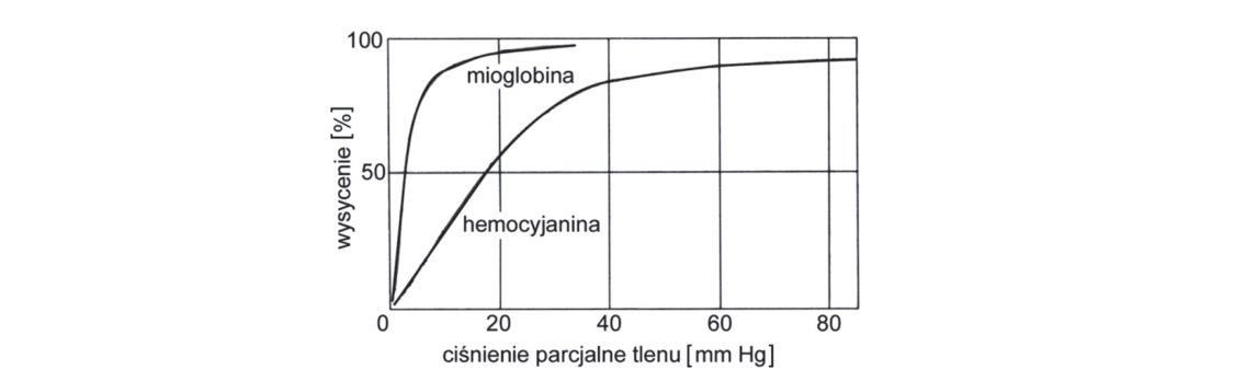 Rycina do zadania 8.2