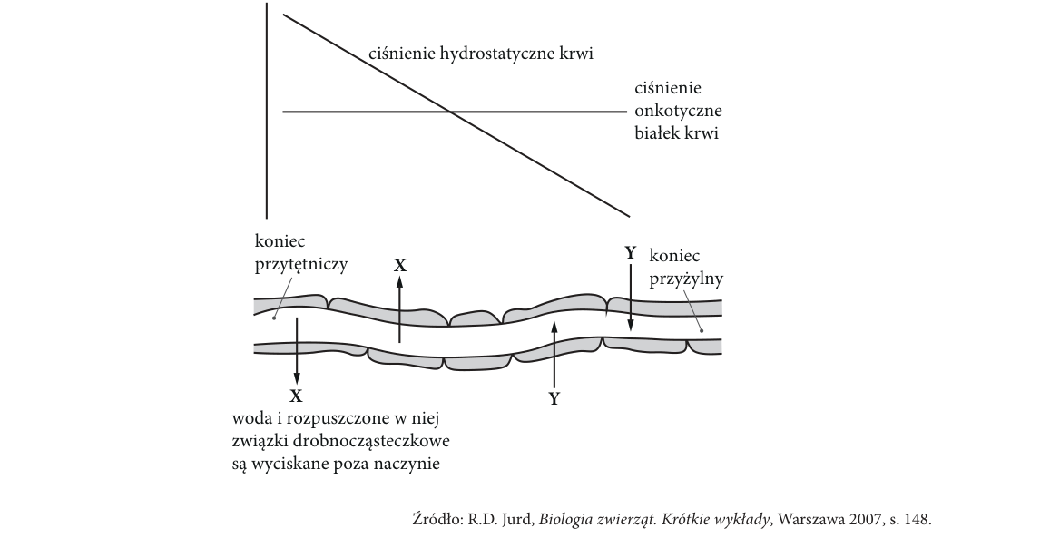 Rycina do zadania 16.2