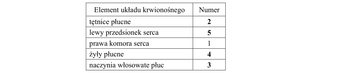 Rycina do rozwiązania zadania 10.2