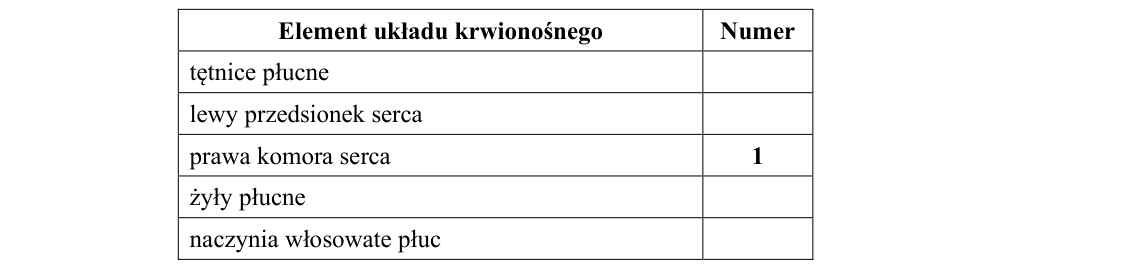 Rycina do zadania 10.2