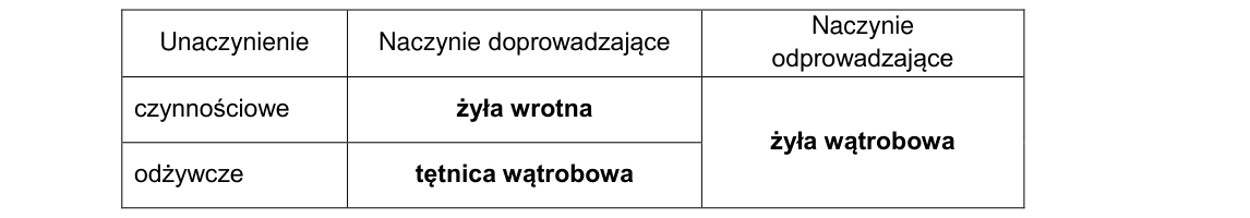 Rycina do rozwiązania zadania 13.1