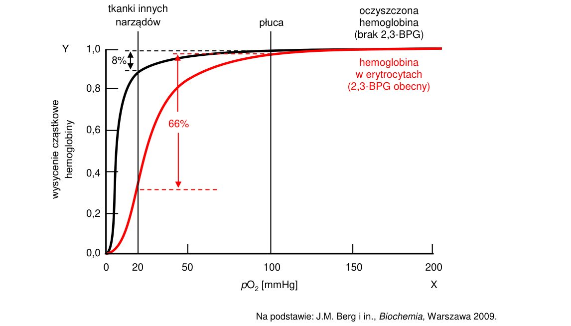 Rycina do zadania 11.2