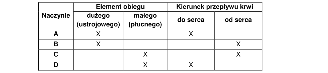 Rycina do rozwiązania zadania 8.1