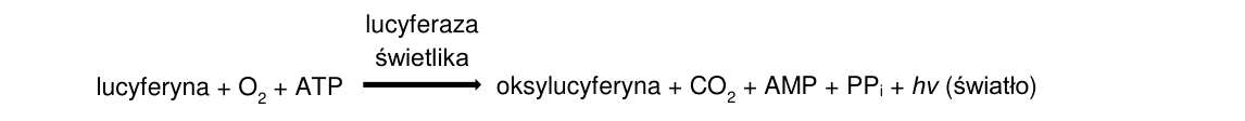 Rycina do zadania 3.3