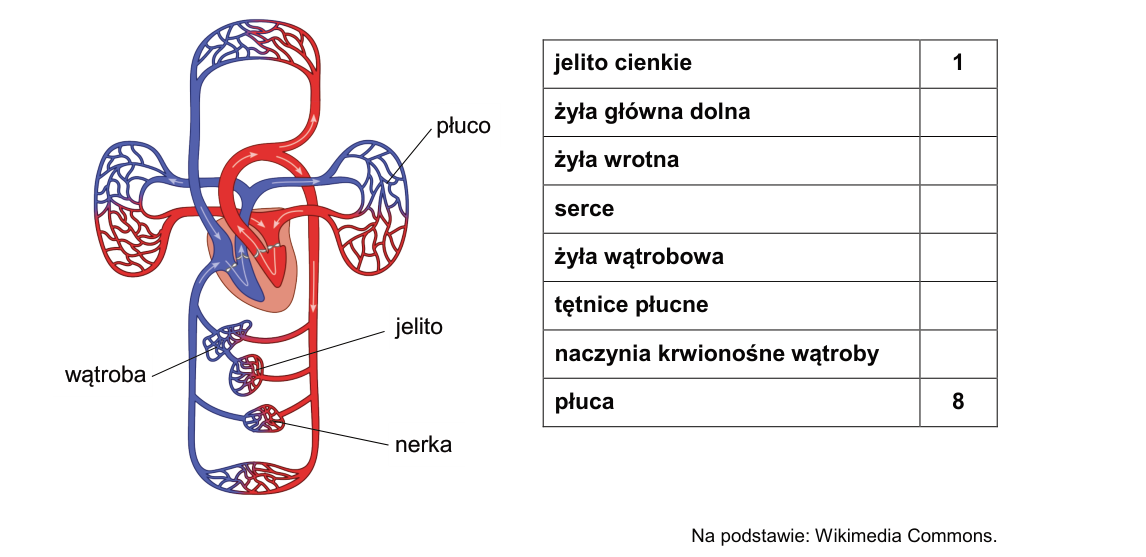 Rycina do zadania 8.1
