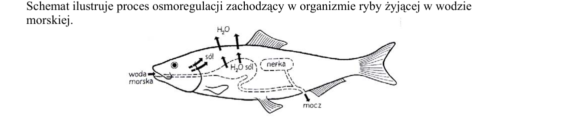 Rycina do zadania 40
