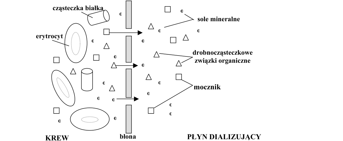 Rycina do zadania 2