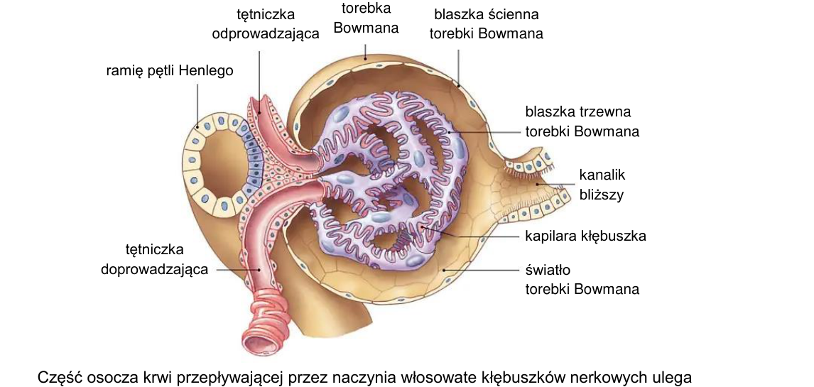 Rycina do zadania 10.2