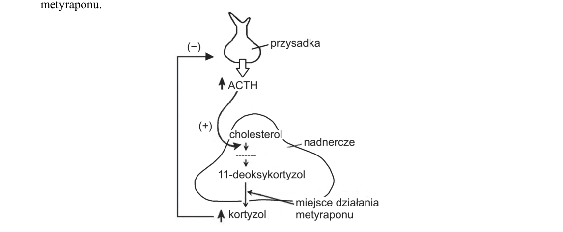 Rycina do zadania 13
