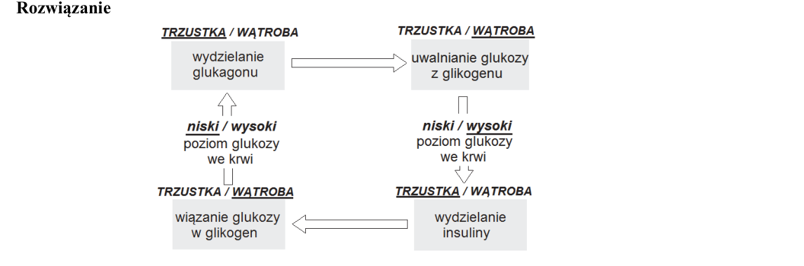 Rycina do rozwiązania zadania 16
