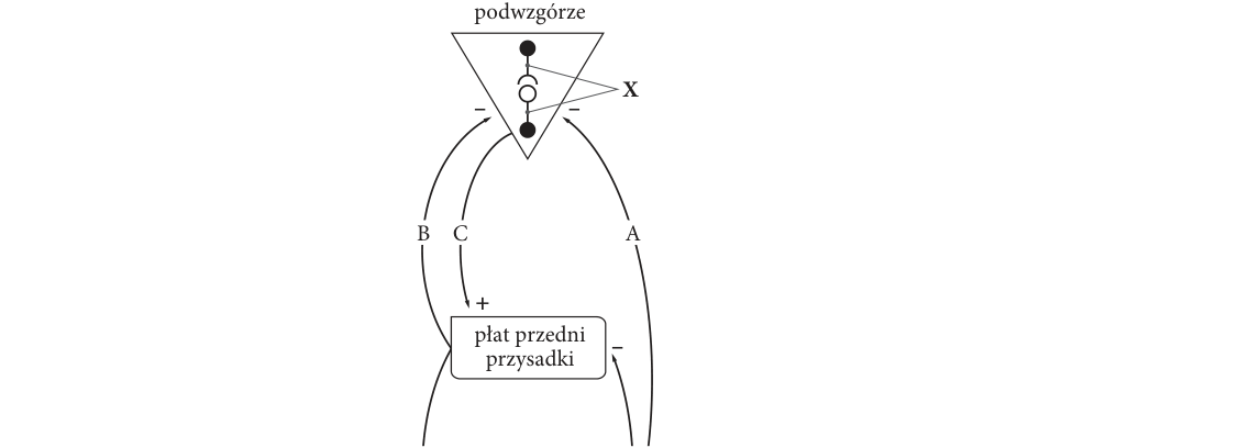Rycina do zadania 13.2