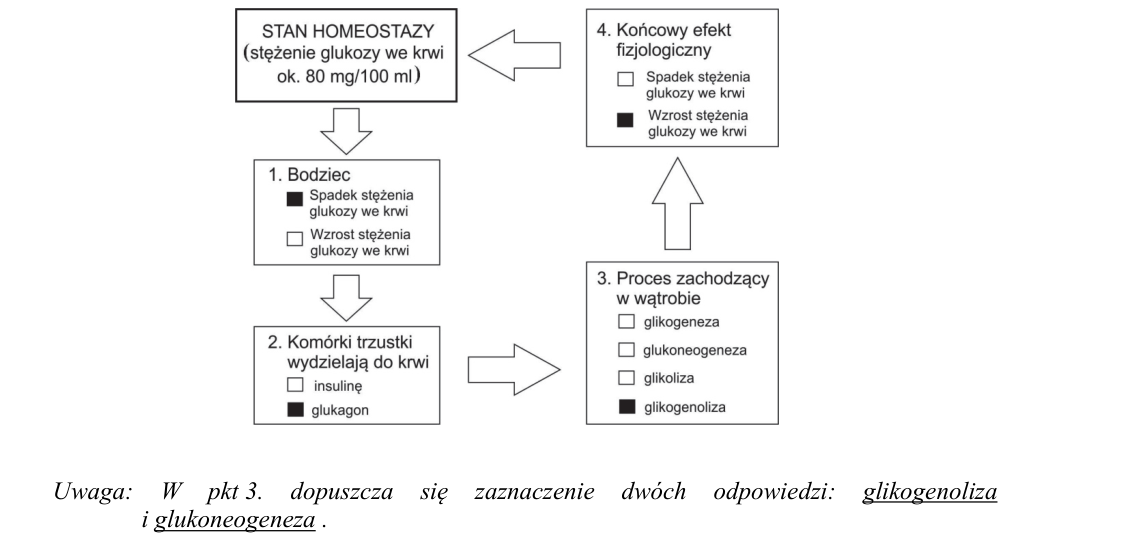 Rycina do rozwiązania zadania 13.1