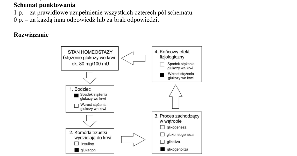 Rycina do rozwiązania zadania 13.1