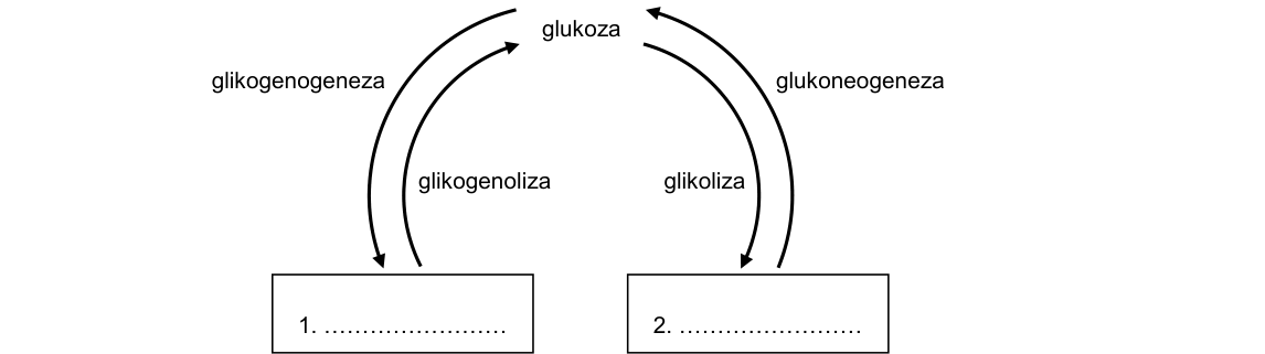 Rycina do zadania 16.2
