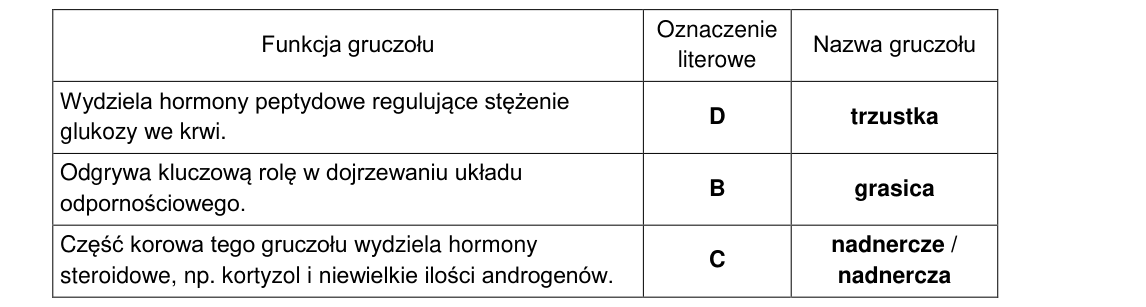 Rycina do rozwiązania zadania 11