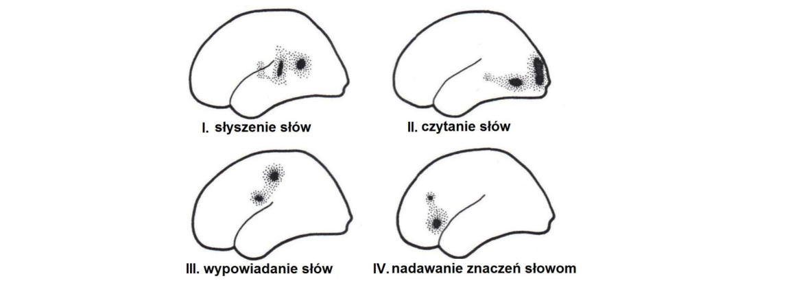 Rycina do zadania 9