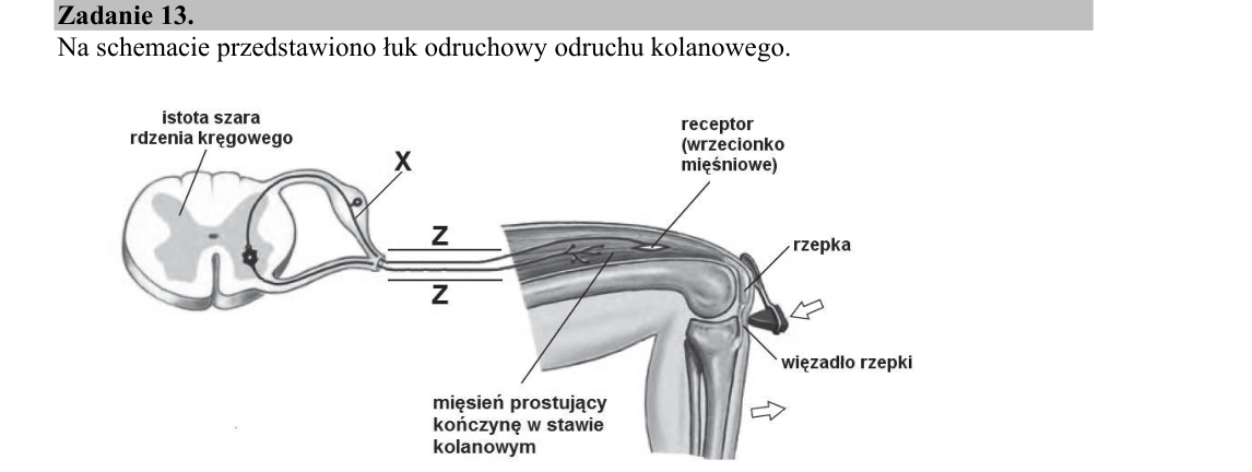 Rycina do zadania 13.2