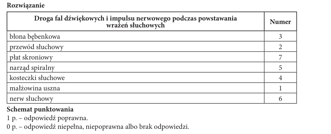 Rycina do rozwiązania zadania 14.3