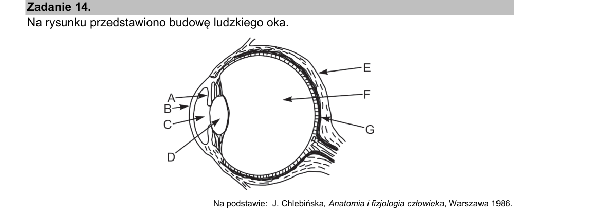 Rycina do zadania 14.1
