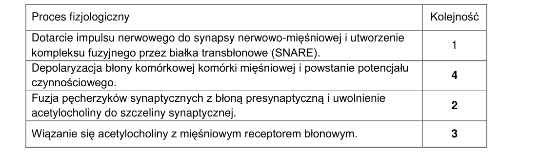 Rycina do rozwiązania zadania 12.3