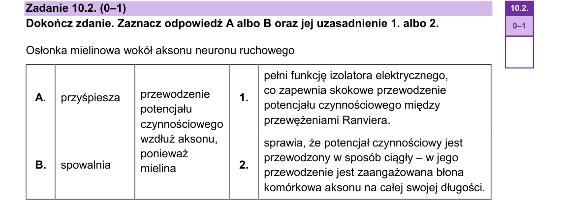 Rycina do zadania 10.2