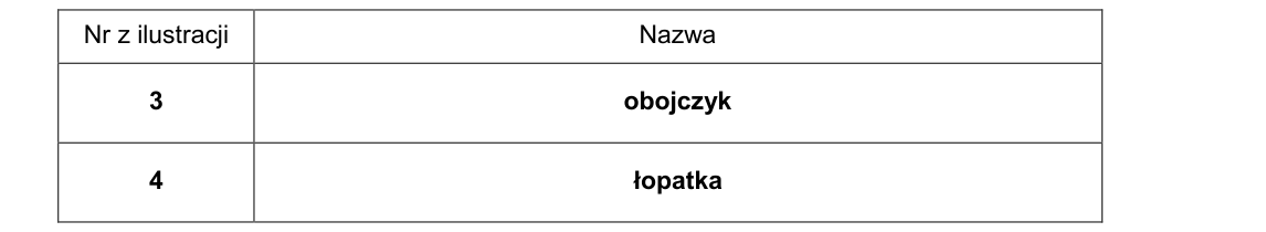 Rycina do rozwiązania zadania 10.1