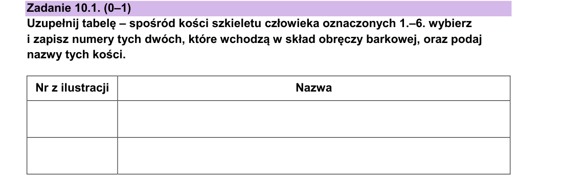 Rycina do zadania 10.1
