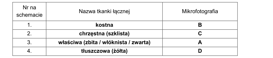 Rycina do rozwiązania zadania 9.1