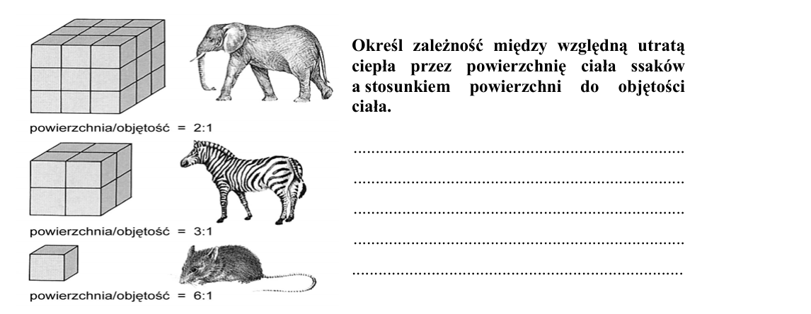 Rycina do zadania 18