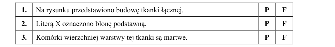 Rycina do zadania 13.1
