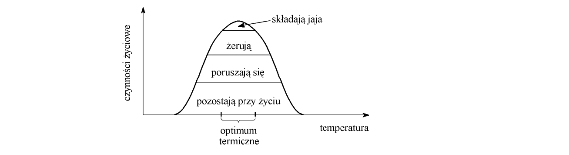Rycina do zadania 55