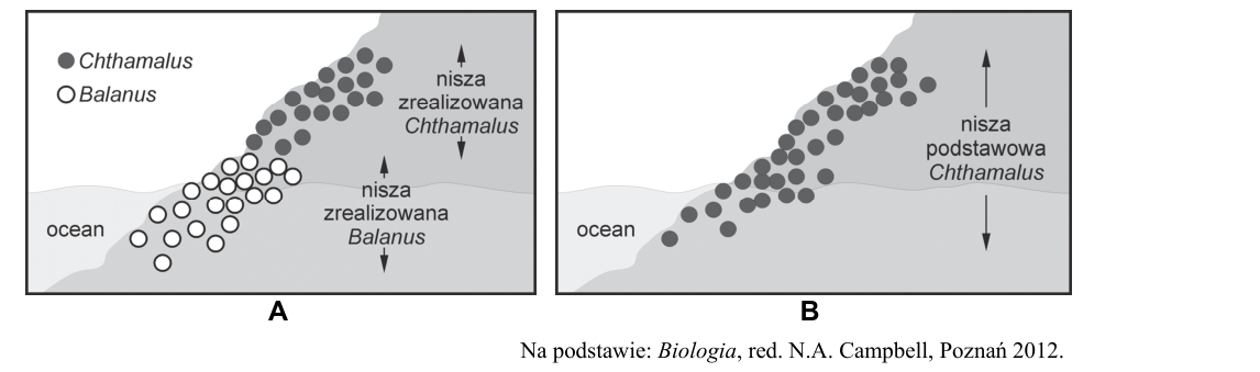 Rycina do zadania 20.1