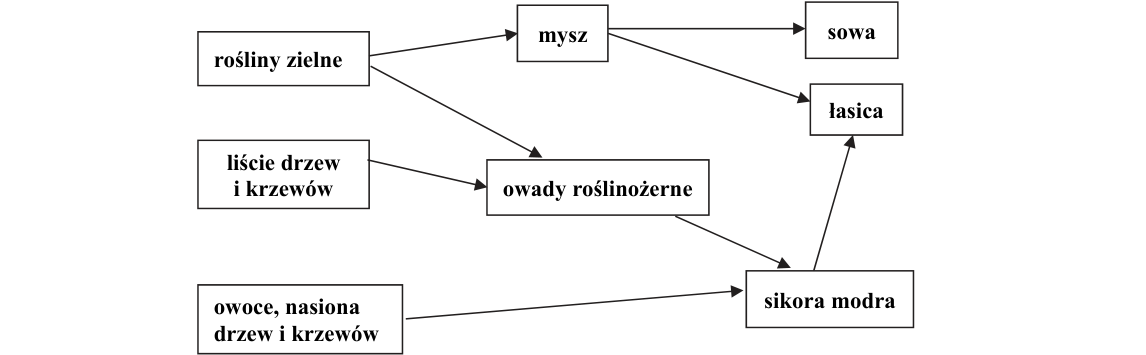 Rycina do zadania 21.2