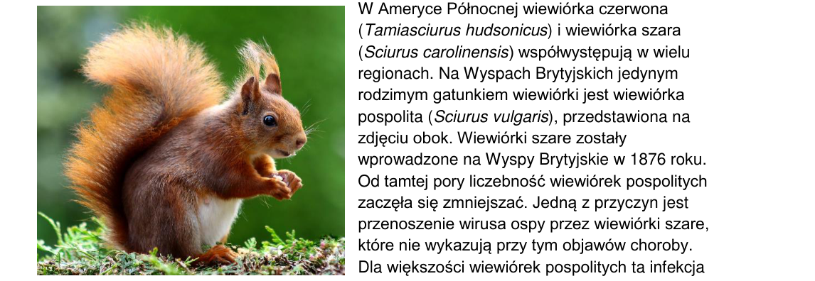 Rycina do zadania 12.3