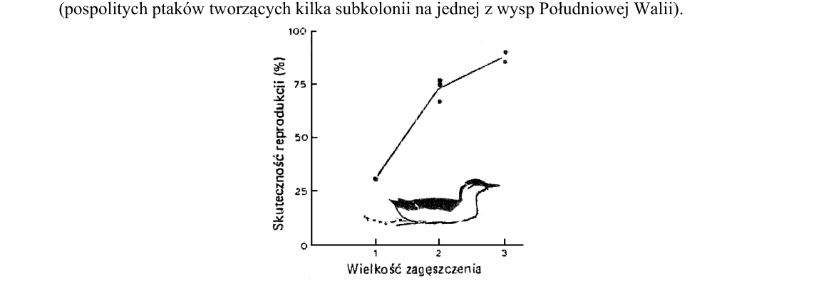 Rycina do zadania 47