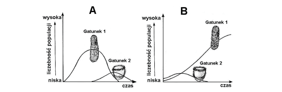 Rycina do zadania 35