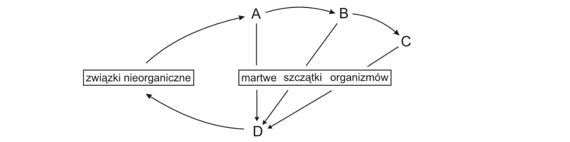 Rycina do zadania 31