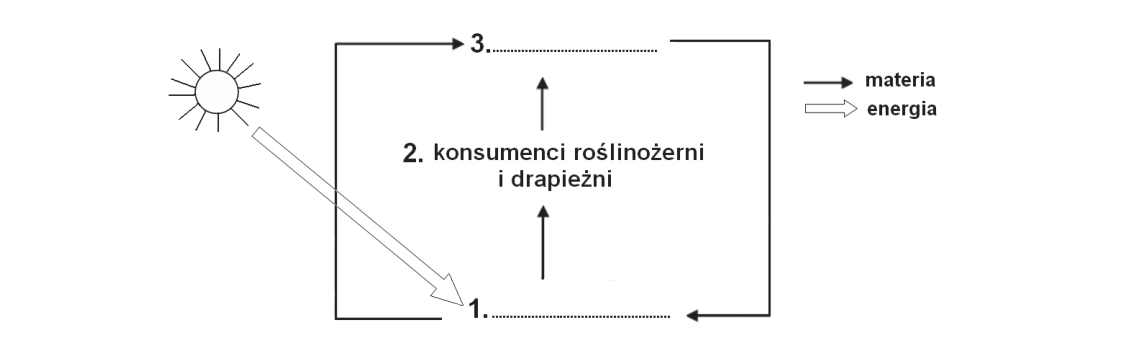 Rycina do zadania 33