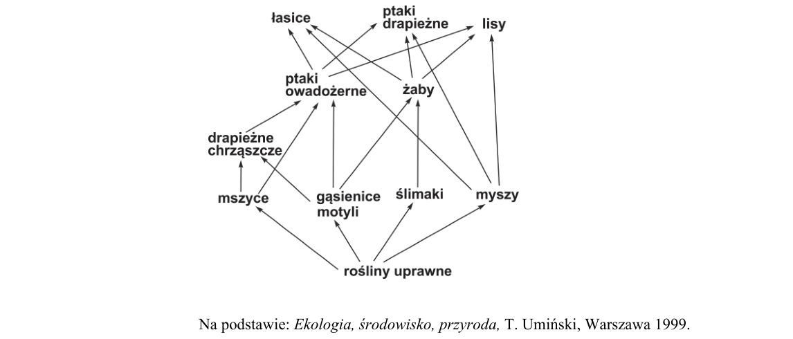 Rycina do zadania 22.2