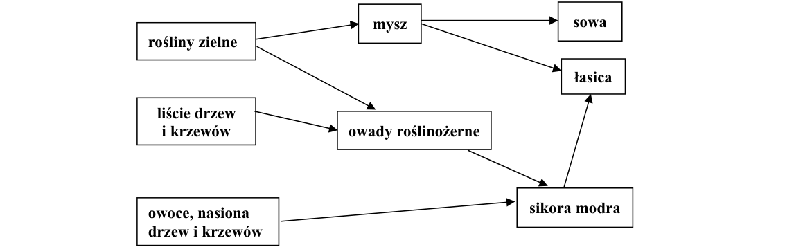 Rycina do zadania 21.2