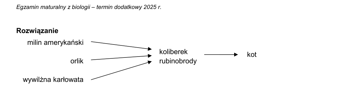 Rycina do rozwiązania zadania 22.1